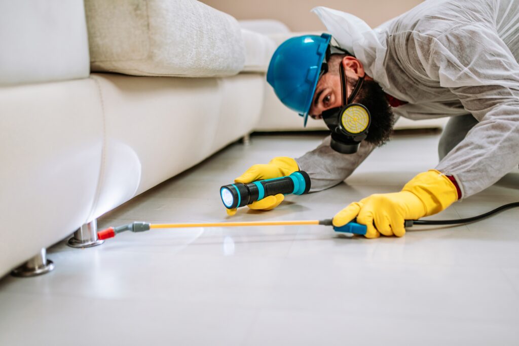 Springfield Termite Control