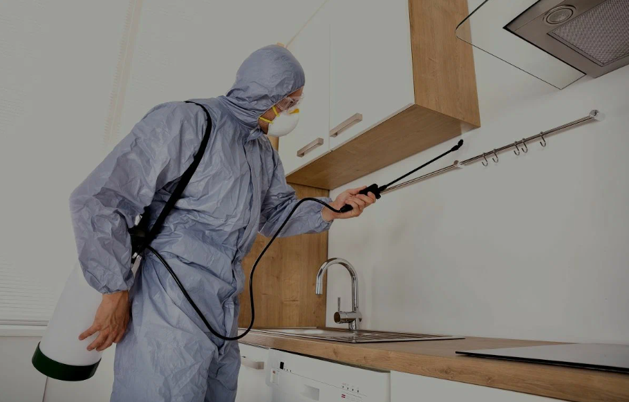 Springfield pest managment